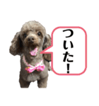 Yoshys doggies 3（個別スタンプ：17）