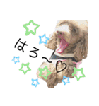 Yoshys doggies 3（個別スタンプ：28）