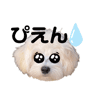 ココロコのスタンプ（個別スタンプ：28）