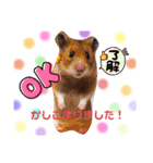◎うちの子すたんぷ◎（個別スタンプ：6）