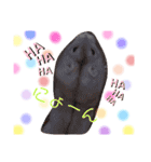 ◎うちの子すたんぷ◎（個別スタンプ：11）
