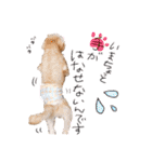 ♡我が家の愛するわんこず♡Fran＆Soy♡2（個別スタンプ：11）