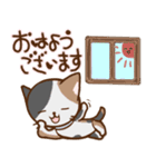 みけ猫の夏（個別スタンプ：1）