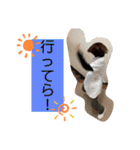ティーミキの生還（個別スタンプ：4）
