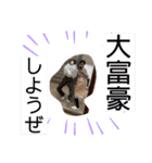 ティーミキの生還（個別スタンプ：13）