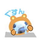 びーちゃんとみわちゃん【会話2】（個別スタンプ：24）