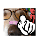 びーちゃんとみわちゃん【会話2】（個別スタンプ：38）
