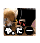 びーちゃんとみわちゃん【会話2】（個別スタンプ：40）