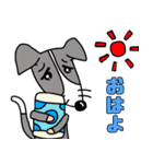 イタグレと仲間たち6（個別スタンプ：3）