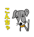 イタグレと仲間たち6（個別スタンプ：4）