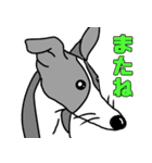 イタグレと仲間たち6（個別スタンプ：7）