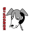 イタグレと仲間たち6（個別スタンプ：10）