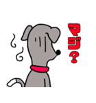 イタグレと仲間たち6（個別スタンプ：14）
