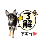 ちゃいとうぃる①（個別スタンプ：7）