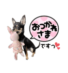 ちゃいとうぃる①（個別スタンプ：8）