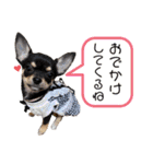 ちゃいとうぃる①（個別スタンプ：14）