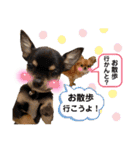 ちゃいとうぃる①（個別スタンプ：21）