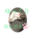 キジシロくうちゃん（個別スタンプ：18）