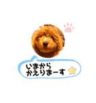癒しのプーちゃんスタンプ（個別スタンプ：9）