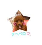 癒しのプーちゃんスタンプ（個別スタンプ：11）