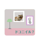 写真de猫スタンプ2（個別スタンプ：22）