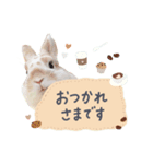 うさぎのバムの毎日スタンプ（個別スタンプ：1）