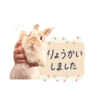 うさぎのバムの毎日スタンプ（個別スタンプ：4）