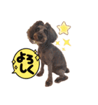 HBP7月（個別スタンプ：1）
