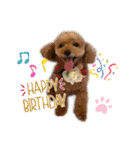 HBP7月（個別スタンプ：3）