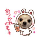 HBP7月（個別スタンプ：6）