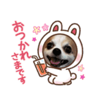 HBP7月（個別スタンプ：9）