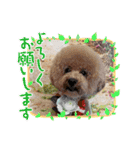 HBP7月（個別スタンプ：10）