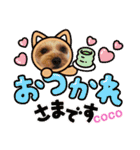 HBP7月（個別スタンプ：14）