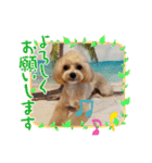 HBP7月（個別スタンプ：18）