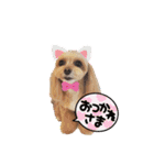 HBP7月（個別スタンプ：19）