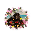 HBP7月（個別スタンプ：23）