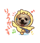HBP7月（個別スタンプ：30）