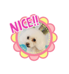 HBP7月（個別スタンプ：32）