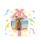 HBP7月（個別スタンプ：39）