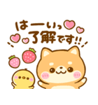 大人可愛い♡豆柴日和（個別スタンプ：1）