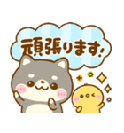 大人可愛い♡豆柴日和（個別スタンプ：10）