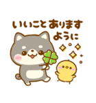 大人可愛い♡豆柴日和（個別スタンプ：31）