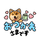 柴犬りゅう4歳のスタンプ（個別スタンプ：1）