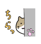 猫の使えるスタンプ♪♪（個別スタンプ：28）