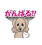 わんこ毎日スタンプ（個別スタンプ：22）