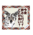 猫と犬の似顔絵スタンプ（個別スタンプ：2）