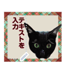 猫と犬の似顔絵スタンプ（個別スタンプ：5）