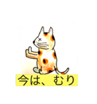 ASDのコミュニケーションツール（個別スタンプ：5）