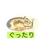 ASDのコミュニケーションツール（個別スタンプ：11）