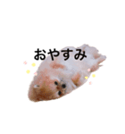 こた！！！（個別スタンプ：2）